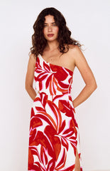 MINKPINK Ravelo One Shoulder Maxi Dress