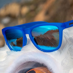Falkor's Fever Dream