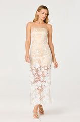 Tanisha Embroidered Floral Strapless Maxi Dress