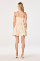Natalya Floral Embroidered Mini Dress