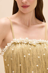Aurea Crochet Mini Dress