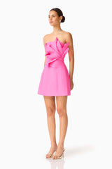 Laurentia Floral Applique Mini Dress in Fuchsia Pink