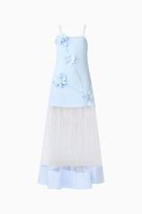 Reina Applique Gown in Sky Blue