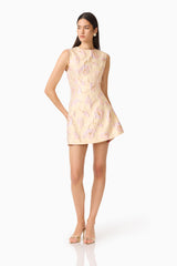 Carys A-Line Mini Dress in Cream