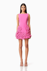 Janelle Mini Dress In Pink
