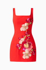 Fleurisca Embroidered Party Mini Dress in Scarlet Red