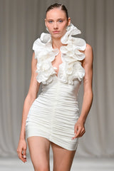 Taffeta Tarsila Ruffle Mini Dress (Runway)