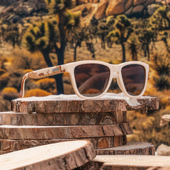 Joshua Tree National Park 2024