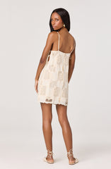 Samira Embroidered Eyelet Mini Dress