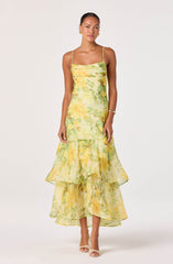 Alison Floral Tiered Drop-Waist Maxi Dress