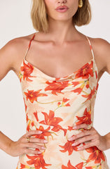 Paloma Cowl Neck Asymmetric Mini Dress