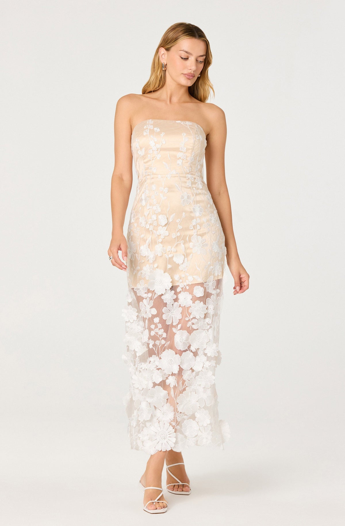 Tanisha Embroidered Floral Strapless Maxi Dress