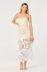 Tanisha Embroidered Floral Strapless Maxi Dress