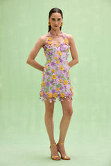 Tulle Pina Embroidered Mini Dress