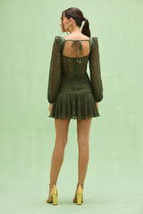 Sirena Mesh Long Sleeve Mini Dress