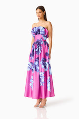 Sybella Ruffle Maxi in Pink & Blue Floral