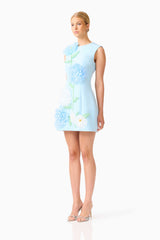 Buttercup Embroidered Mini Dress in Blue