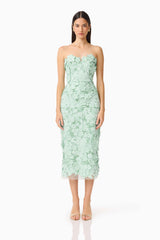 Roseate Strapless Midi Dress in Mint Green