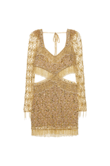 Crystal Embroidery Long Sleeve Mini Dress