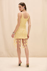 Iara Crochet Mini Dress